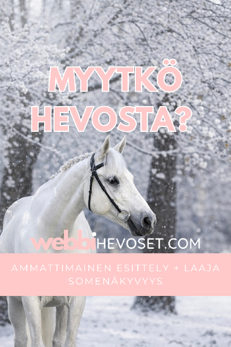 myytk-hevosta-n-in-hevonen-l-yt-ostajan-verkossa-webbihevoset